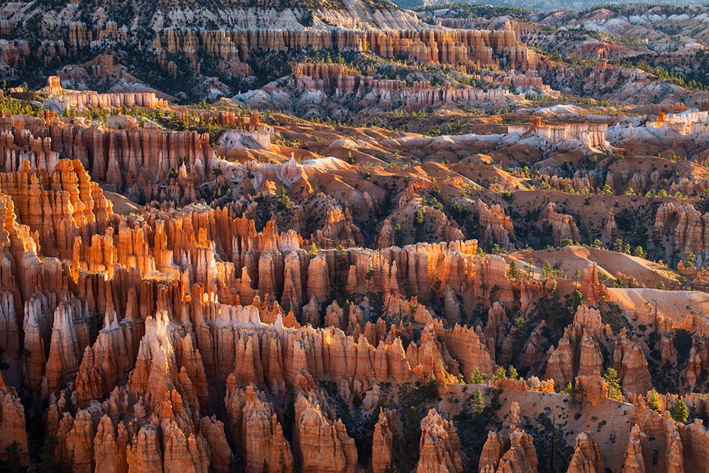 Sunrise at Bryce Canyon National Park, Utah